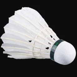 Babolat HYBRID Challenge><noscript><img data-lazyloaded=
